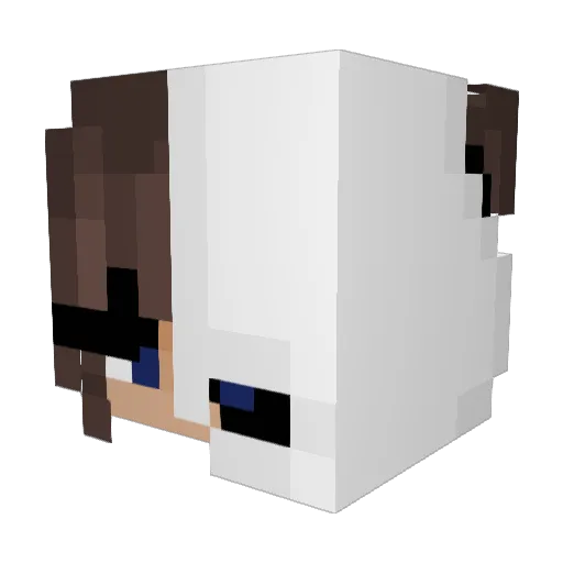 FlappyBirdoo Minecraft avatar head, 3D render