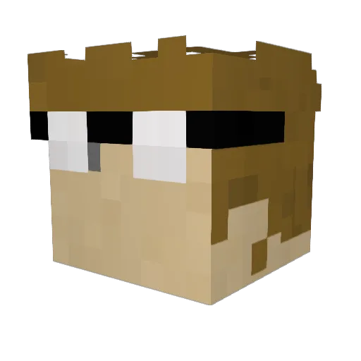 FlappyDupster Minecraft avatar head, 3D render