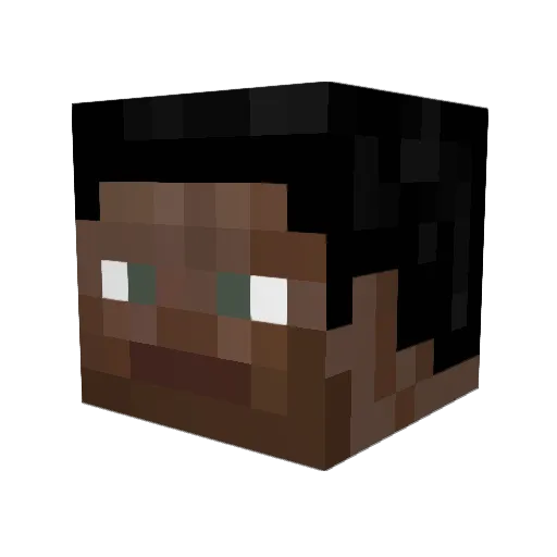 FlappyJacks Minecraft avatar head, 3D render