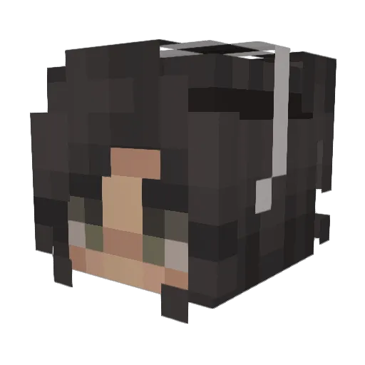 Flappydays09 Minecraft avatar head, 3D render