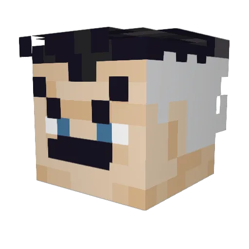 Flappynaps Minecraft avatar head, 3D render