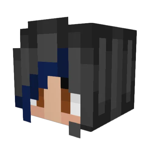 Flapsii Minecraft avatar head, 3D render