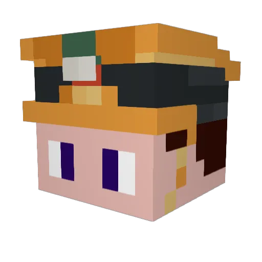 Flapsna Minecraft avatar head, 3D render