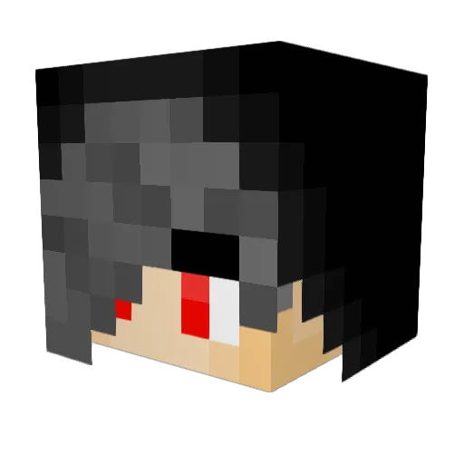 Flapsy_1 Minecraft avatar head, 3D render