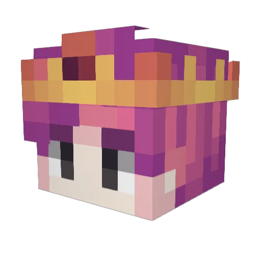 Flarden Minecraft avatar head, 3D render