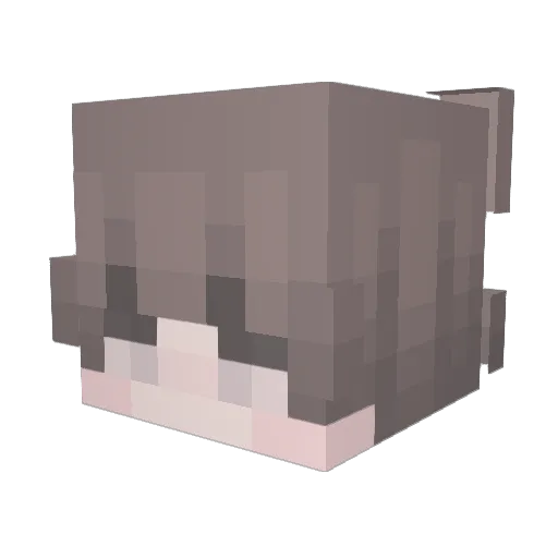 Flare77 Minecraft avatar head, 3D render
