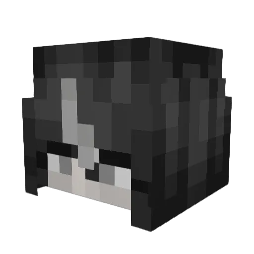 FlareLEFT Minecraft avatar head, 3D render