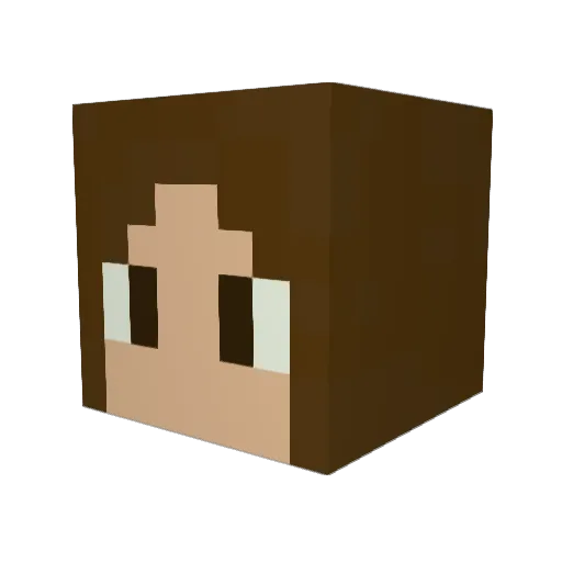Flare_02 Minecraft avatar head, 3D render