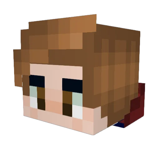 Flare_1_ Minecraft avatar head, 3D render