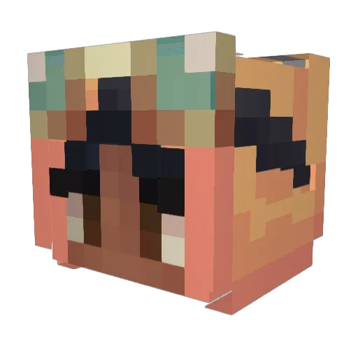 Flarebug Minecraft avatar head, 3D render