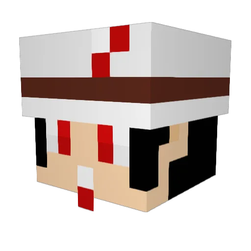 Flareon321 Minecraft avatar head, 3D render