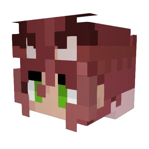 Flareon_5 Minecraft avatar head, 3D render