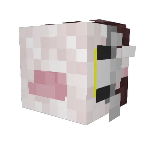 Flareric Minecraft avatar head, 3D render