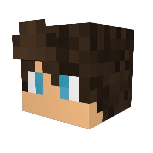 Flarexddd Minecraft avatar head, 3D render