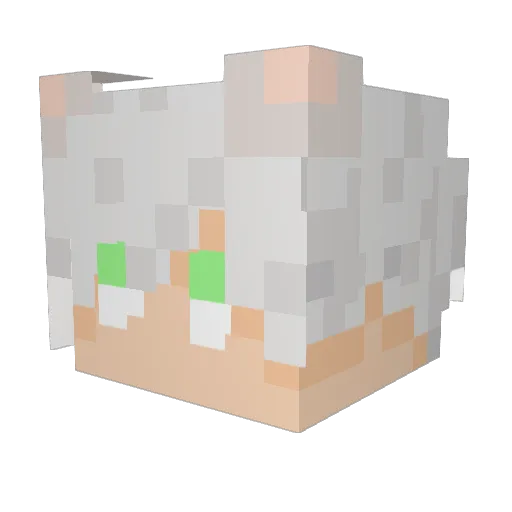 Flargosity Minecraft avatar head, 3D render