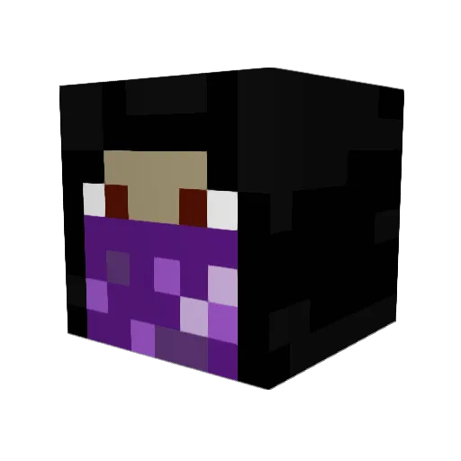 Flarrow1110 Minecraft avatar head, 3D render