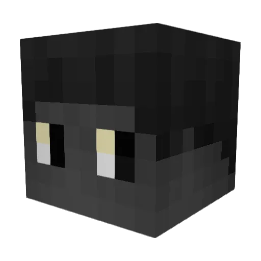 Flaschen_LP Minecraft avatar head, 3D render