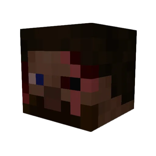 Flaschgon46 Minecraft avatar head, 3D render