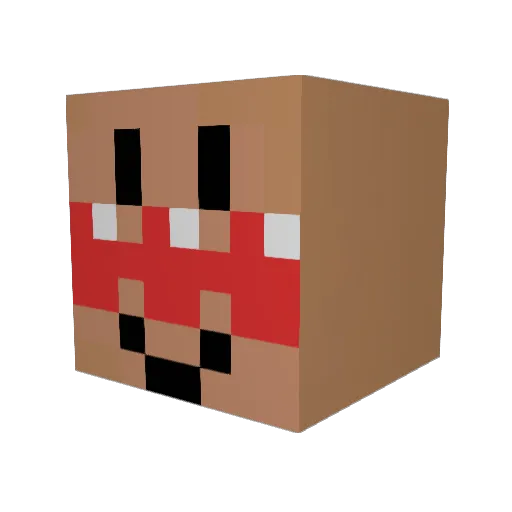 Flash0528 Minecraft avatar head, 3D render