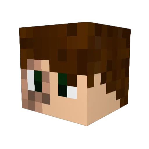 Flash98989 Minecraft avatar head, 3D render