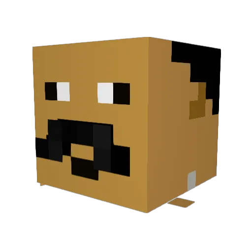 FlashBang6942 Minecraft avatar head, 3D render