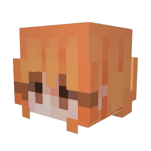 FlashBash21 Minecraft avatar head, 3D render