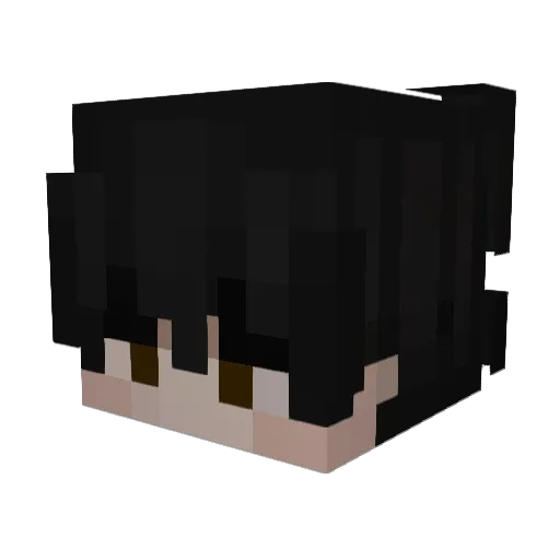 FlashDimi Minecraft avatar head, 3D render