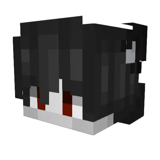 FlashHG Minecraft avatar head, 3D render