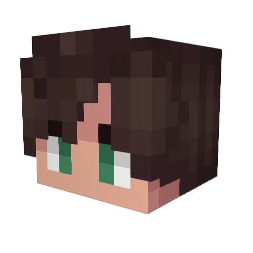 FlashJaguar Minecraft avatar head, 3D render