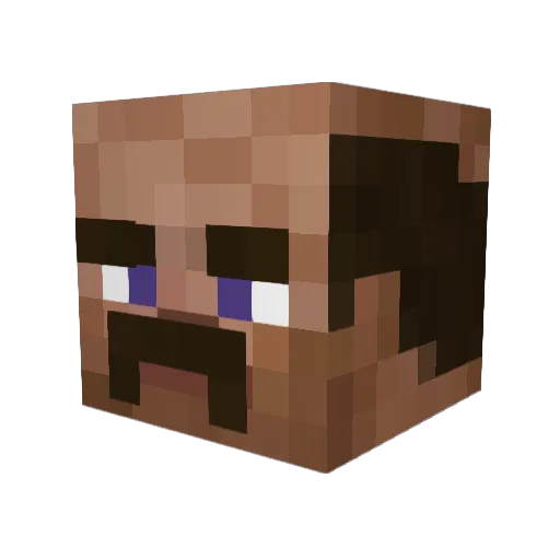 FlashMCTibs Minecraft avatar head, 3D render