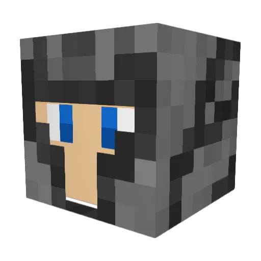 FlashMan9090 Minecraft avatar head, 3D render