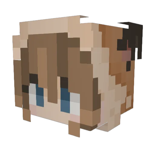 FlashNerd1501 Minecraft avatar head, 3D render