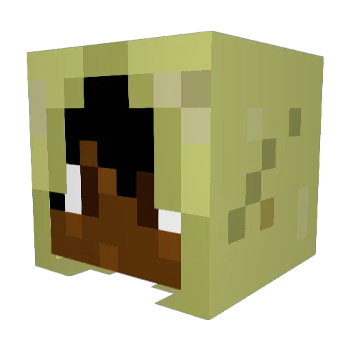 FlashOut_ Minecraft avatar head, 3D render