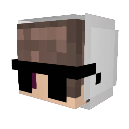 FlashPhysics Minecraft avatar head, 3D render
