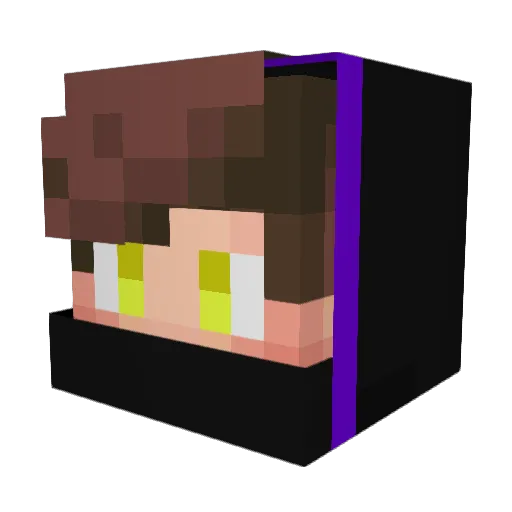 Flash_371 Minecraft avatar head, 3D render