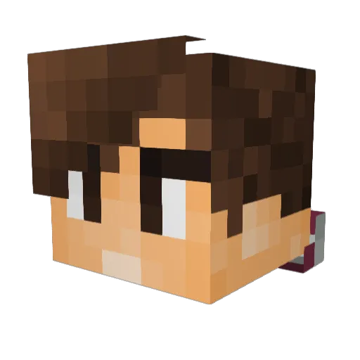 Flash_boy_zocker Minecraft avatar head, 3D render