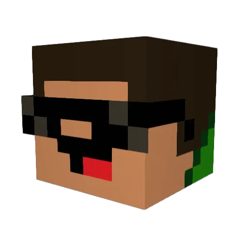 Flasham Minecraft avatar head, 3D render