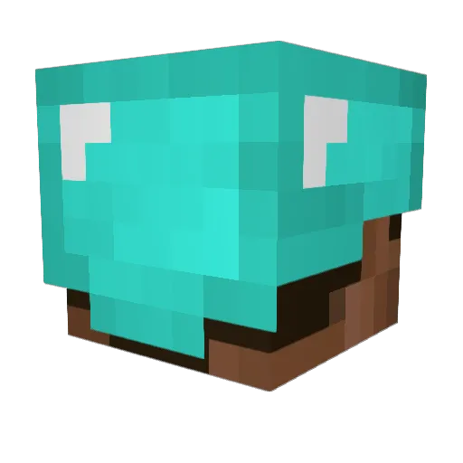 FlashedFlower97 Minecraft avatar head, 3D render
