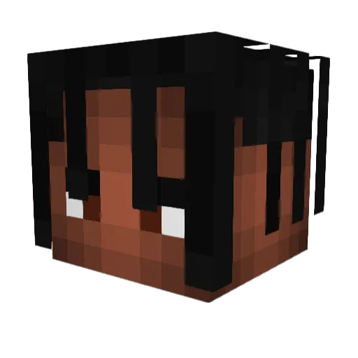 Flashisenic Minecraft avatar head, 3D render