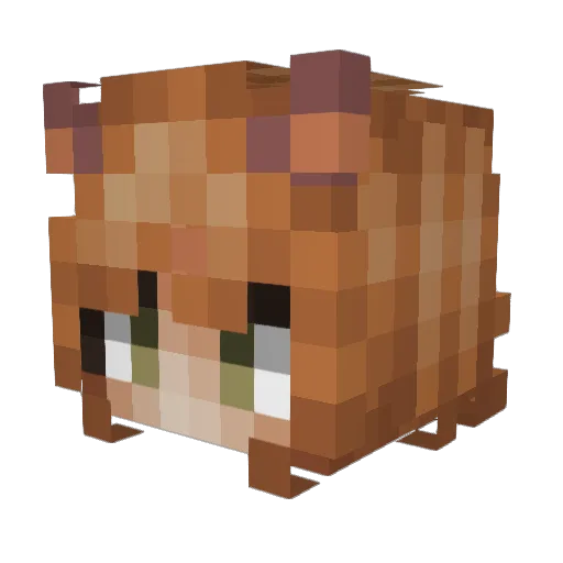 Flashkitty Minecraft avatar head, 3D render
