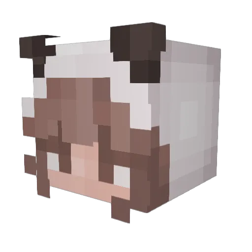 Flashliz Minecraft avatar head, 3D render