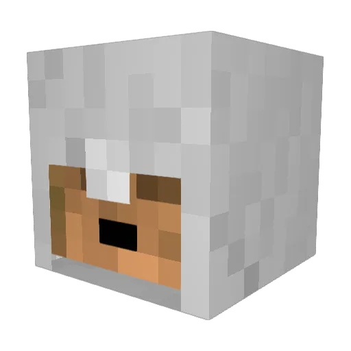 Flashover23 Minecraft avatar head, 3D render