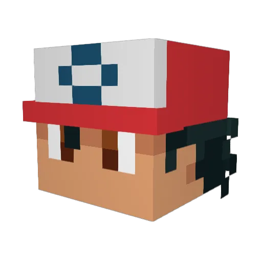 Flashsassy Minecraft avatar head, 3D render