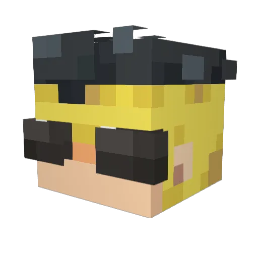 Flashter Minecraft avatar head, 3D render