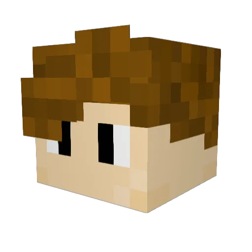 Flashuser17 Minecraft avatar head, 3D render