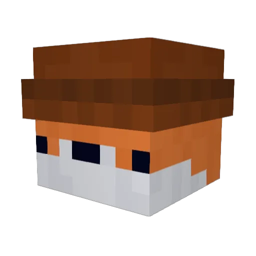 Flashwarrior4 Minecraft avatar head, 3D render