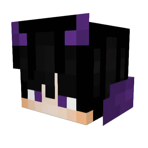 Flashyyyyyyy Minecraft avatar head, 3D render