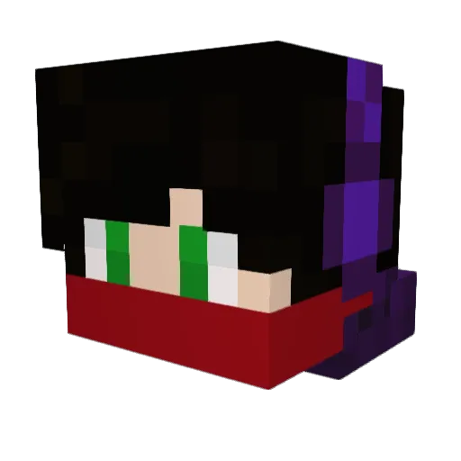 Flashz_ Minecraft avatar head, 3D render