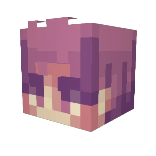 Flaskk_ Minecraft avatar head, 3D render