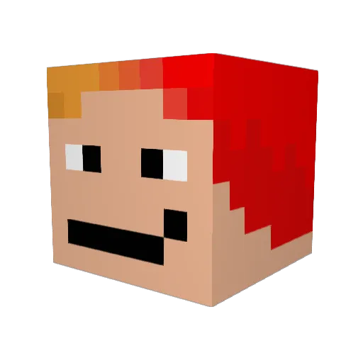 Flast24 Minecraft avatar head, 3D render